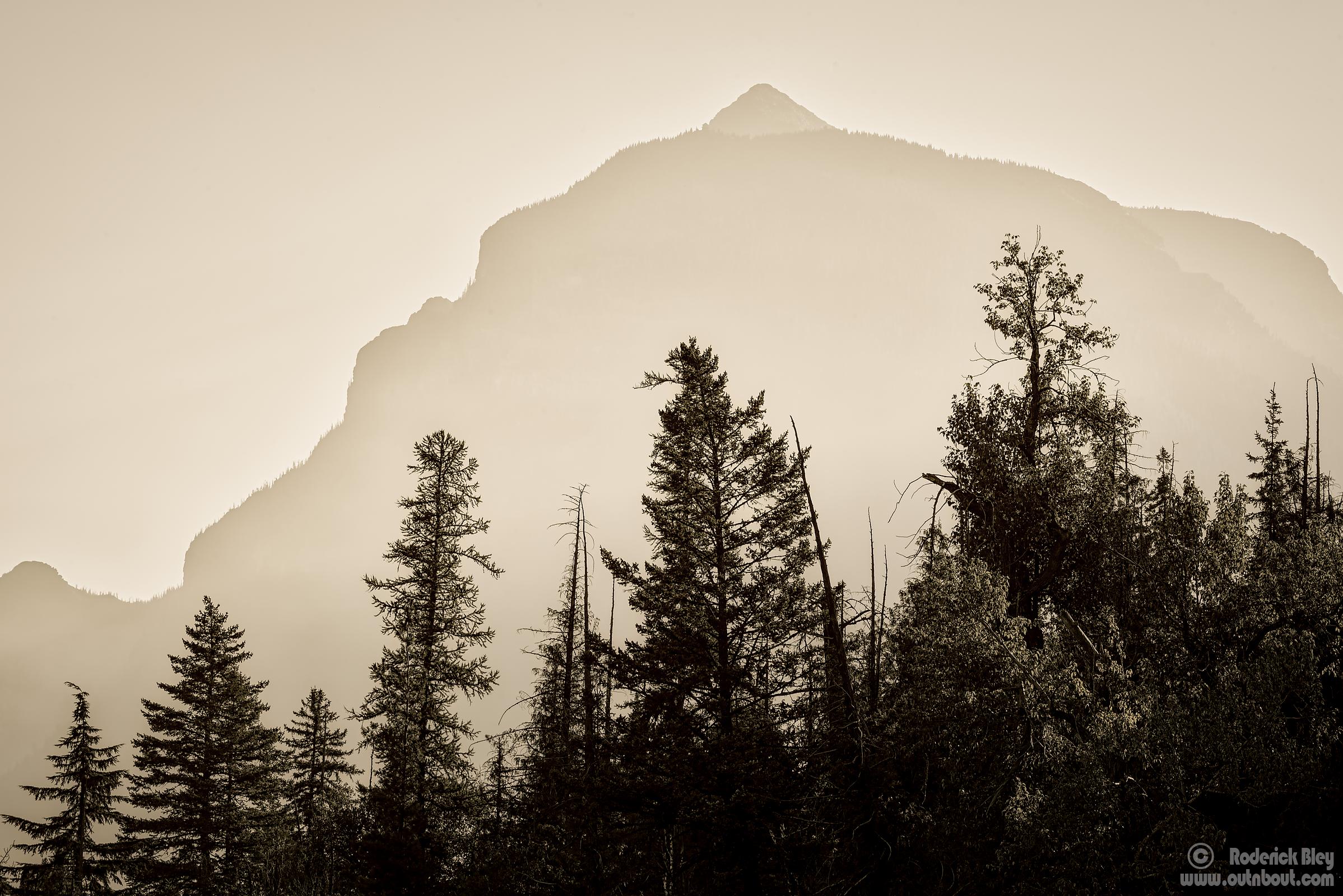 Early Morning Bristle Mountain Ridge