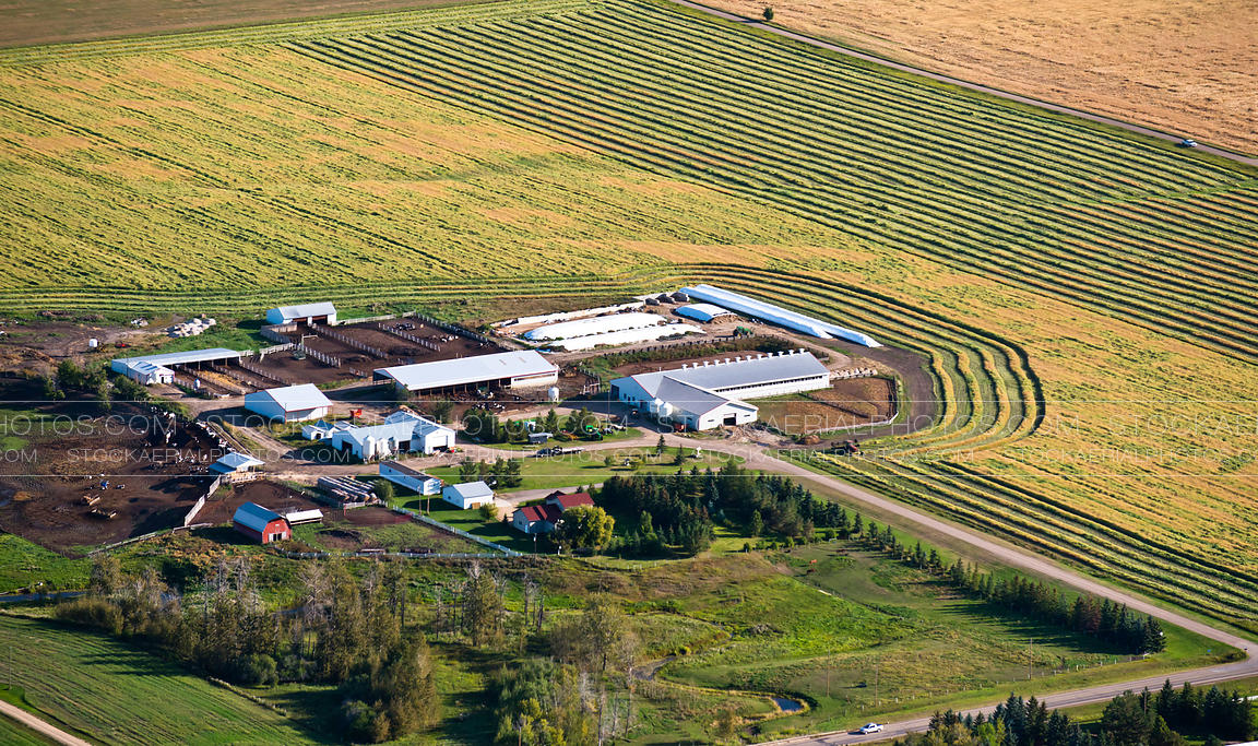 Modern Farm in Alberta