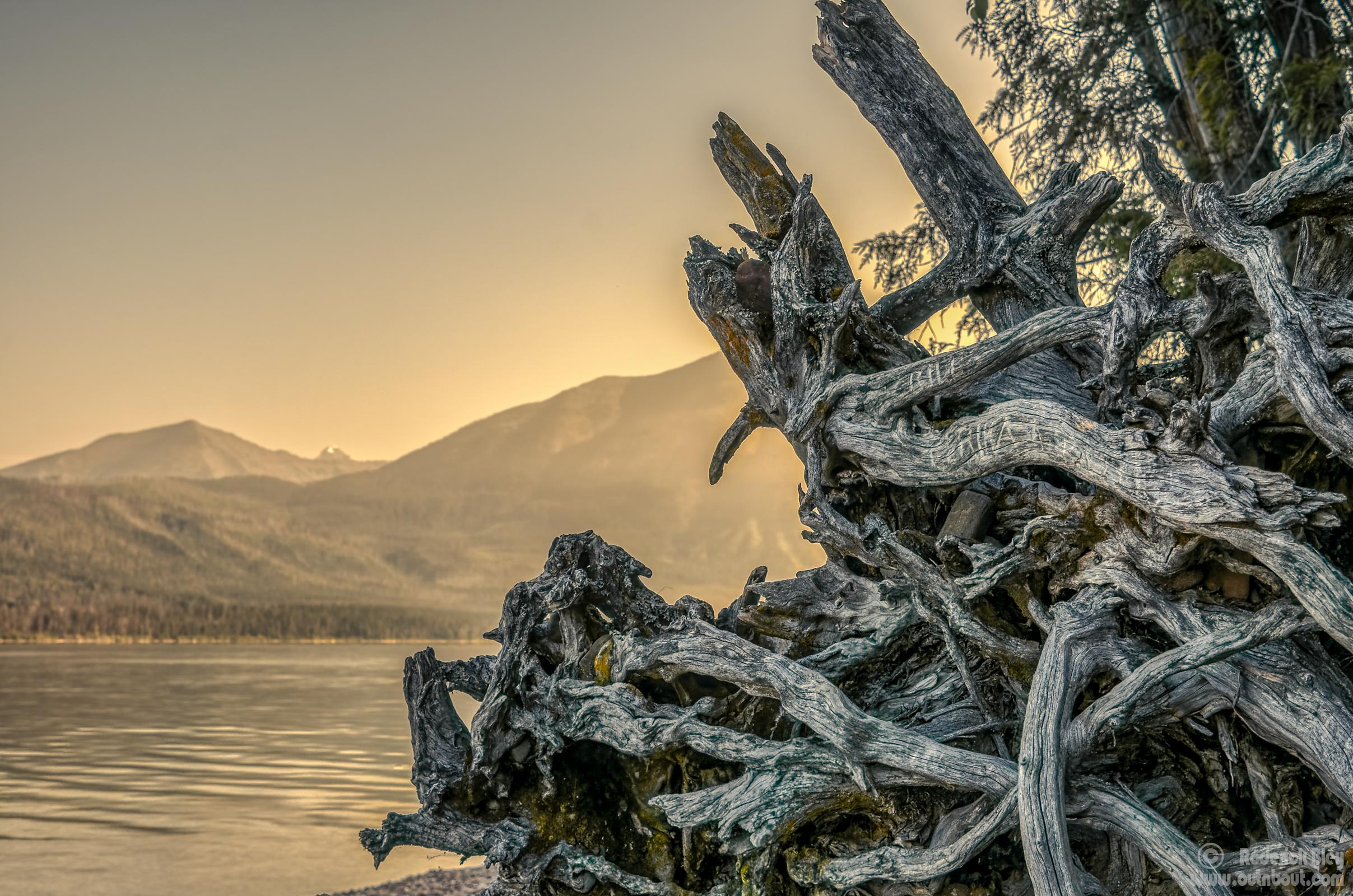 Gnarly Sunrise on Lake McDonald, Glacier National Park