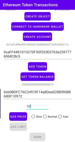 Token balance retrieved