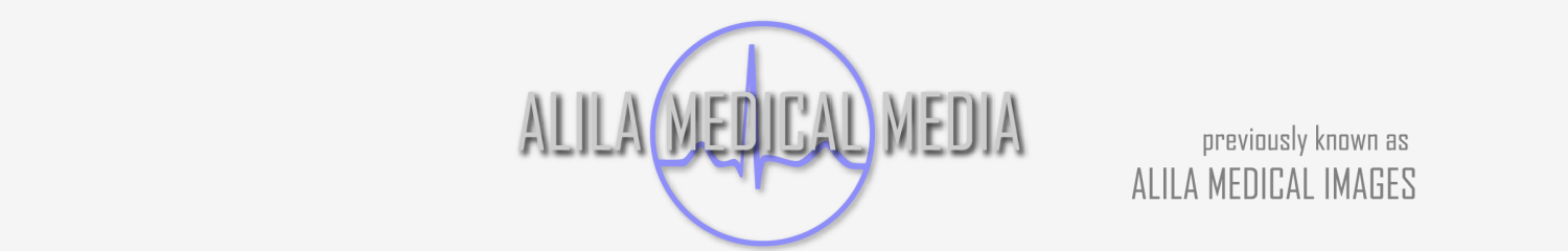 Logo Media With Am