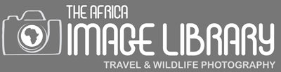 The Africa Image Library Website1