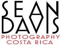 Logosean