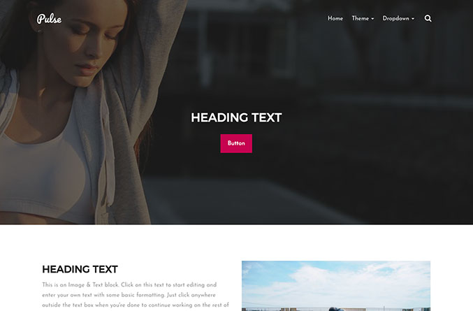 Pulse Website Template