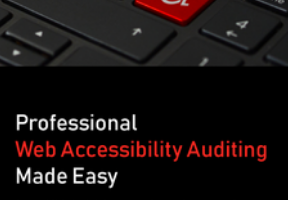 Tesxtbook Cover - Professional Web Acceessibility Auditing Made Easy