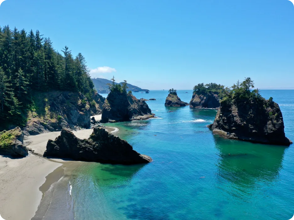 An aerial view of a beach with trees in the background.