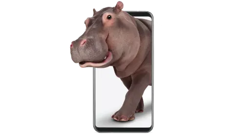 A hippo walking out of a phone screen, symbolizing our exclusive Device Protection options.