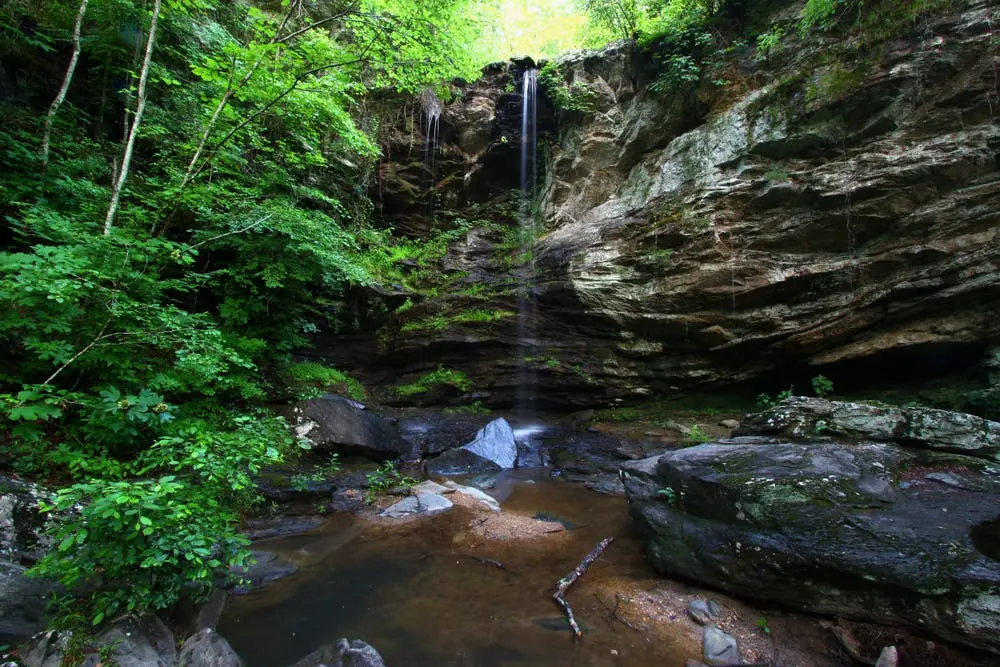 Talladega National Forest