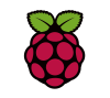 logo raspberry pi