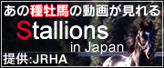 Stallions in Japan