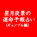 星月夜景の運命予報占い(ギャンブル編)