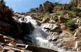 Arizona Waterfall