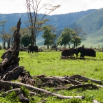 Ngorongoro, Tanzania