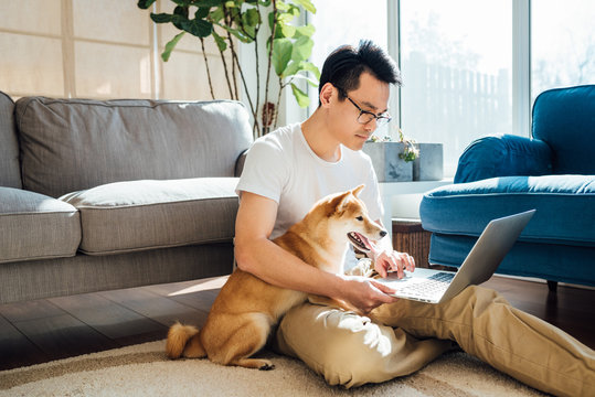 Man using laptop with dog