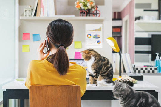 Young Asian woman working from home due to coronavirus covid-19, lifestyle working and playing with her cute cats, Work from home concept