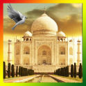 Taj Mahal Birds Live Wallpaper