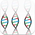 DNA Replication