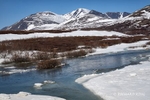 Landscape photograph of a meltwater stream from the Taylor Highway in Nome Alaska
