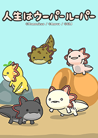 Axolotl Life Theme 2