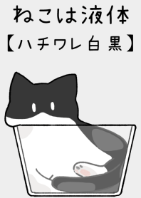 ねこは液体【ハチワレ猫-白黒】