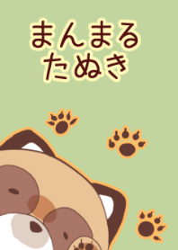 Fat raccoon dog Theme