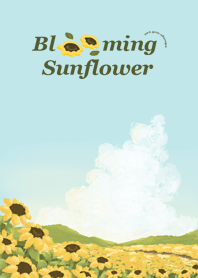 Sunflower blooming