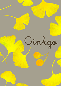 Ginkgo  -Autumn Promenade-