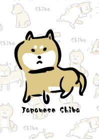 Japanese Shiba