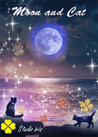 Increased luck Cat and full moon