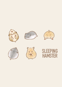 sleeping hamster