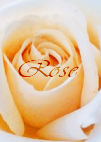 Sweet Rose