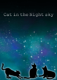 Cat in the night sky Theme