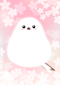 Cute white bird