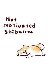 Not motivated Shibta inu Whie blue