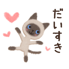 Fluffy Animal Siamese Cat