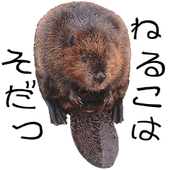 飯田市動物園公式スタンプねるこはそだつ編