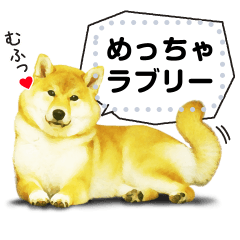 Along with Shiba Inu also today 2