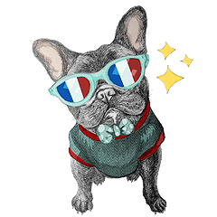 Bonjour! Bonjour! Black French Bulldog