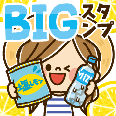 かわいい主婦の1日　BIGスタンプ