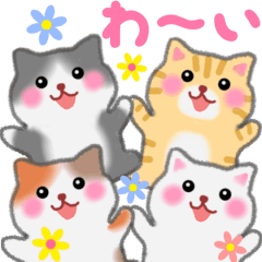 動く♪4匹のぽちゃりねこ