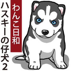 わんこ日和 シベリアンハスキーの仔犬2