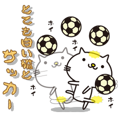 Very white cat and soccer