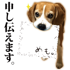 beagle , honorific , expression language