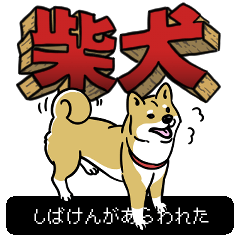 柴犬クエスト