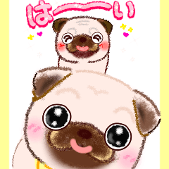 Greetings / Pug