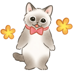 Cat sticker (friends and family)