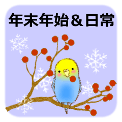 インコ（年末年始＆日常編）