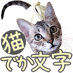 デカ文字猫スタンプ4