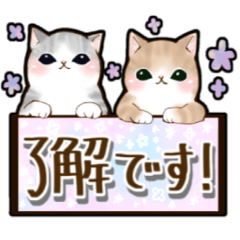 Big character everyday cat sticker