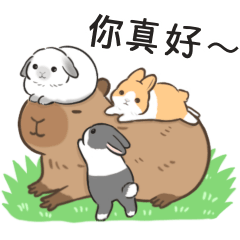 Sweet potato rabbit (rabbit&Capybara)